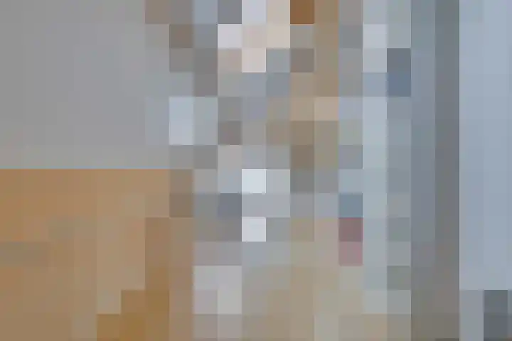 Hoveniersstraat 9 Baarlo thumbnail 34