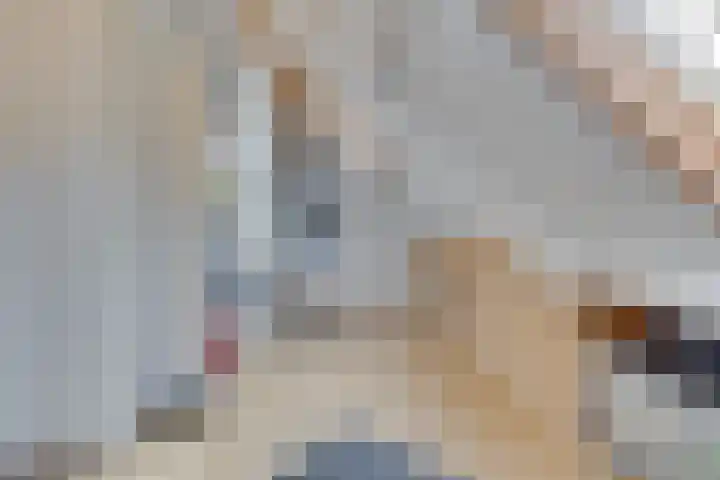 Hoveniersstraat 9 Baarlo thumbnail 35