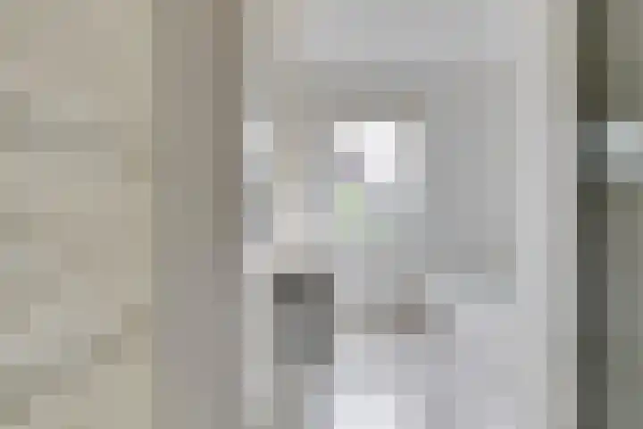 Hoveniersstraat 9 Baarlo thumbnail 36