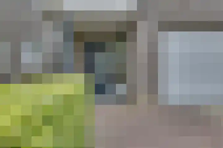 Hoveniersstraat 9 Baarlo thumbnail 4