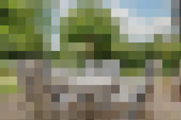 Hoveniersstraat 9 Baarlo thumbnail 42
