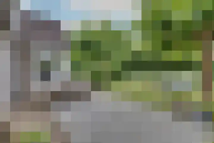 Hoveniersstraat 9 Baarlo thumbnail 47