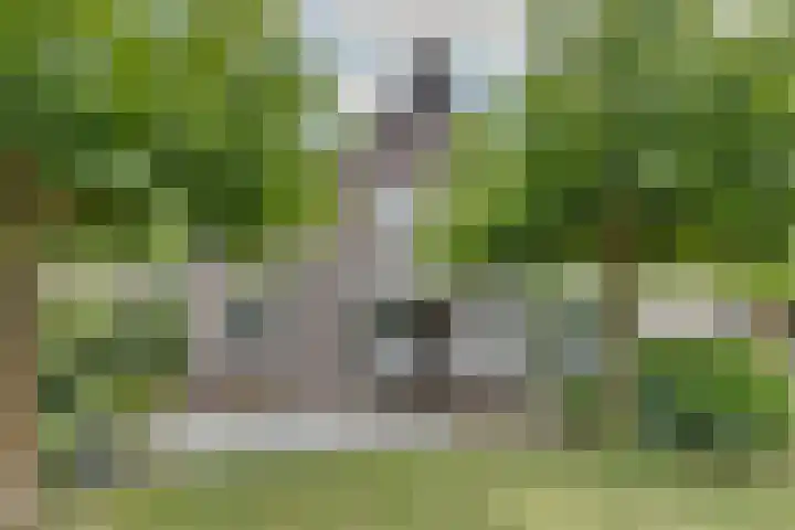 Hoveniersstraat 9 Baarlo thumbnail 48