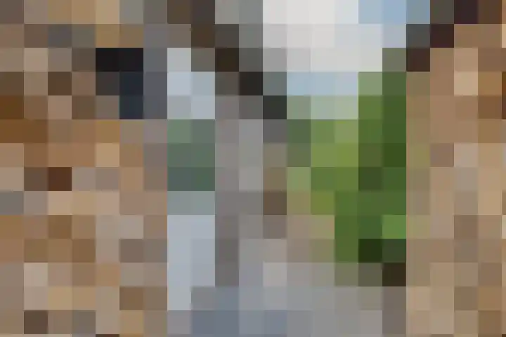 Hoveniersstraat 9 Baarlo thumbnail 49