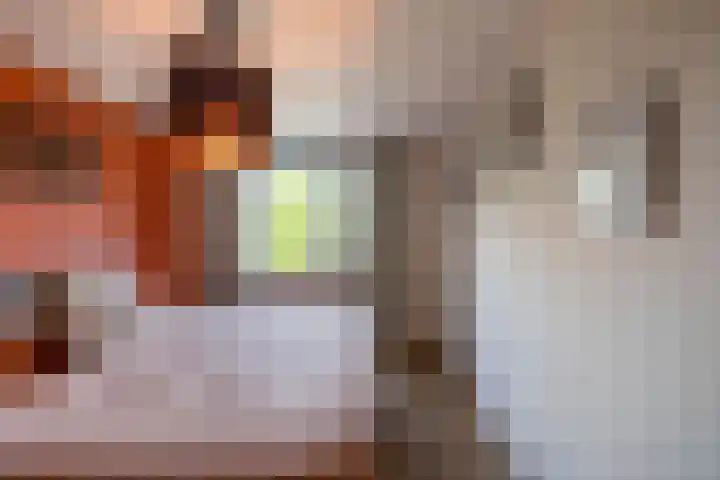Hovenierstraat 11 Alkmaar thumbnail 21