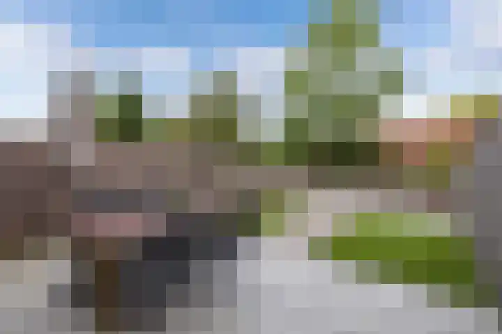 Hovenierstraat 11 Alkmaar thumbnail 38