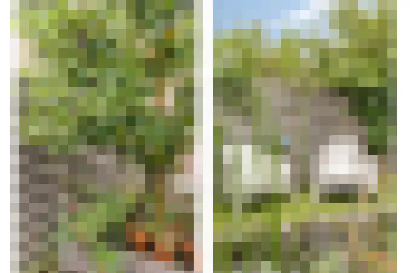Hovenierstraat 113 Alkmaar thumbnail 21