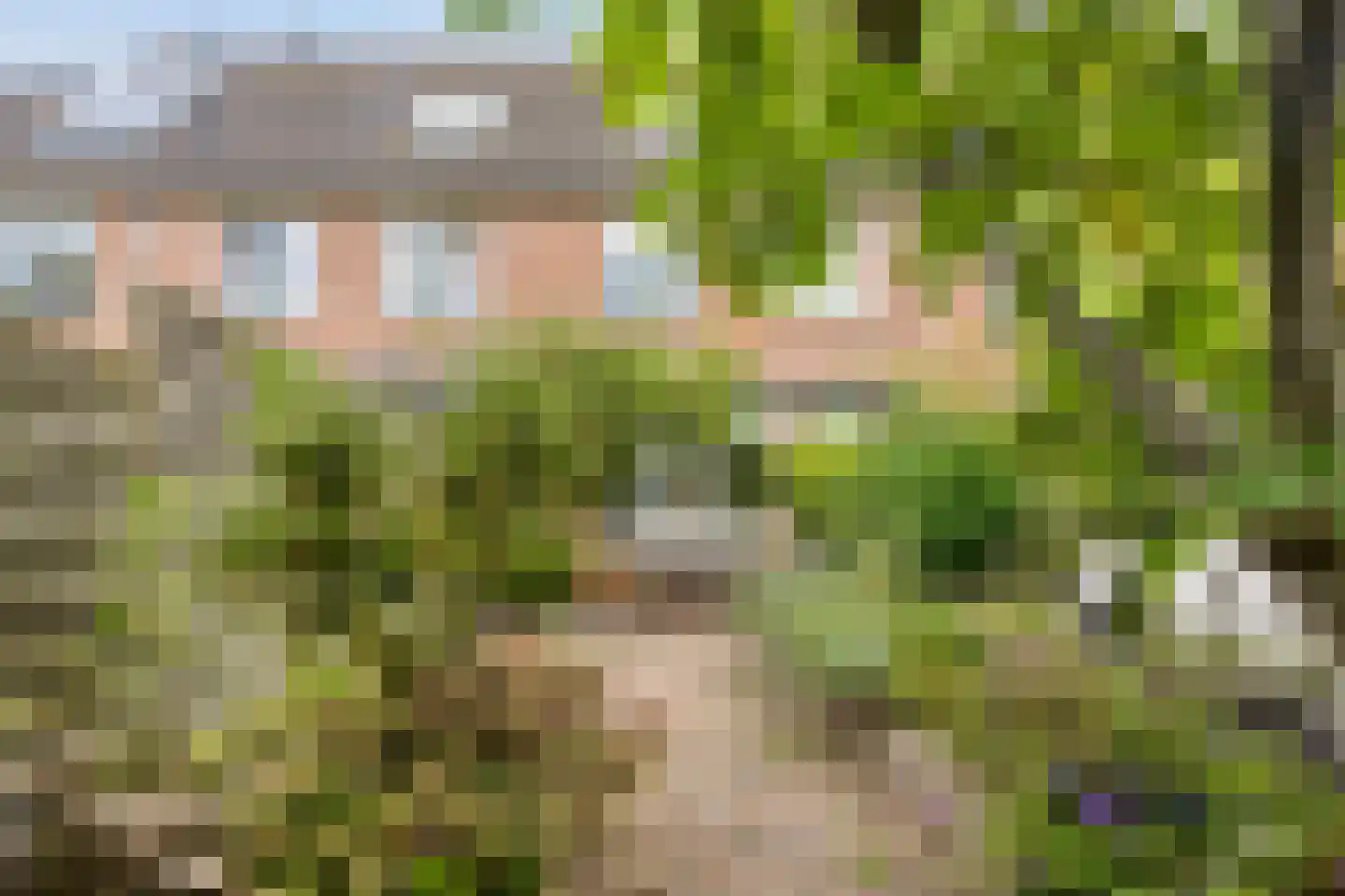 Hovenierstraat 113 Alkmaar thumbnail 26