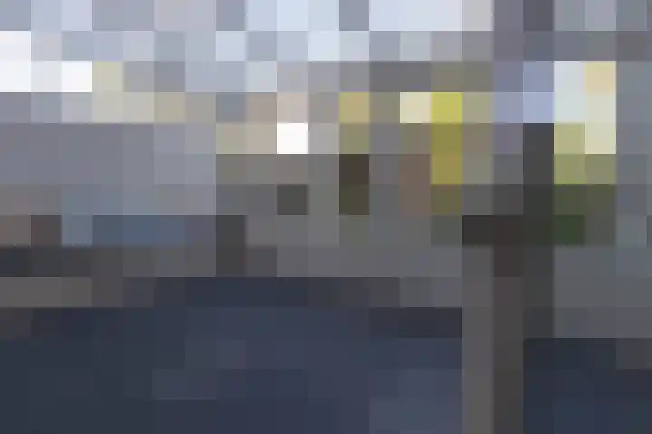 Hovenierstraat 3 Alkmaar thumbnail 12