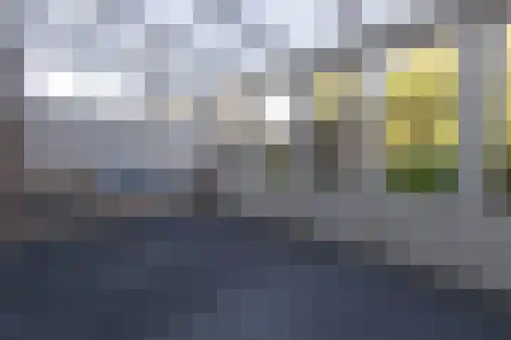 Hovenierstraat 3 Alkmaar thumbnail 14