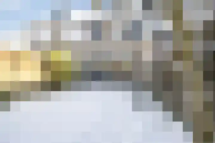 Hovenierstraat 4 Breda thumbnail 22