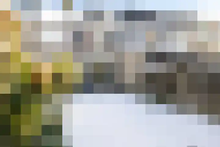 Hovenierstraat 4 Breda thumbnail 25