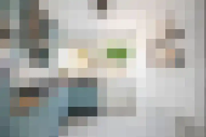 Hovenierstraat 4 Deventer thumbnail 10