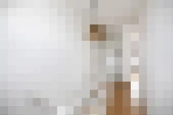 Hovenierstraat 4 Deventer thumbnail 16