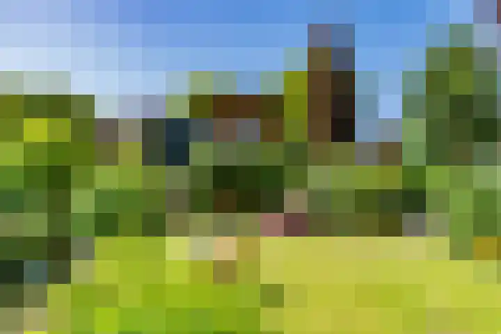 Hovenierstraat 4 Deventer thumbnail 23