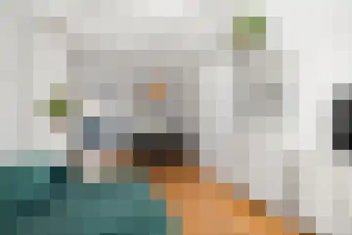 Hovenierstraat 4 Deventer thumbnail 5