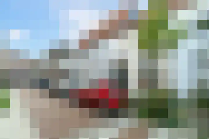Hovenierstraat 5 Delft thumbnail 5