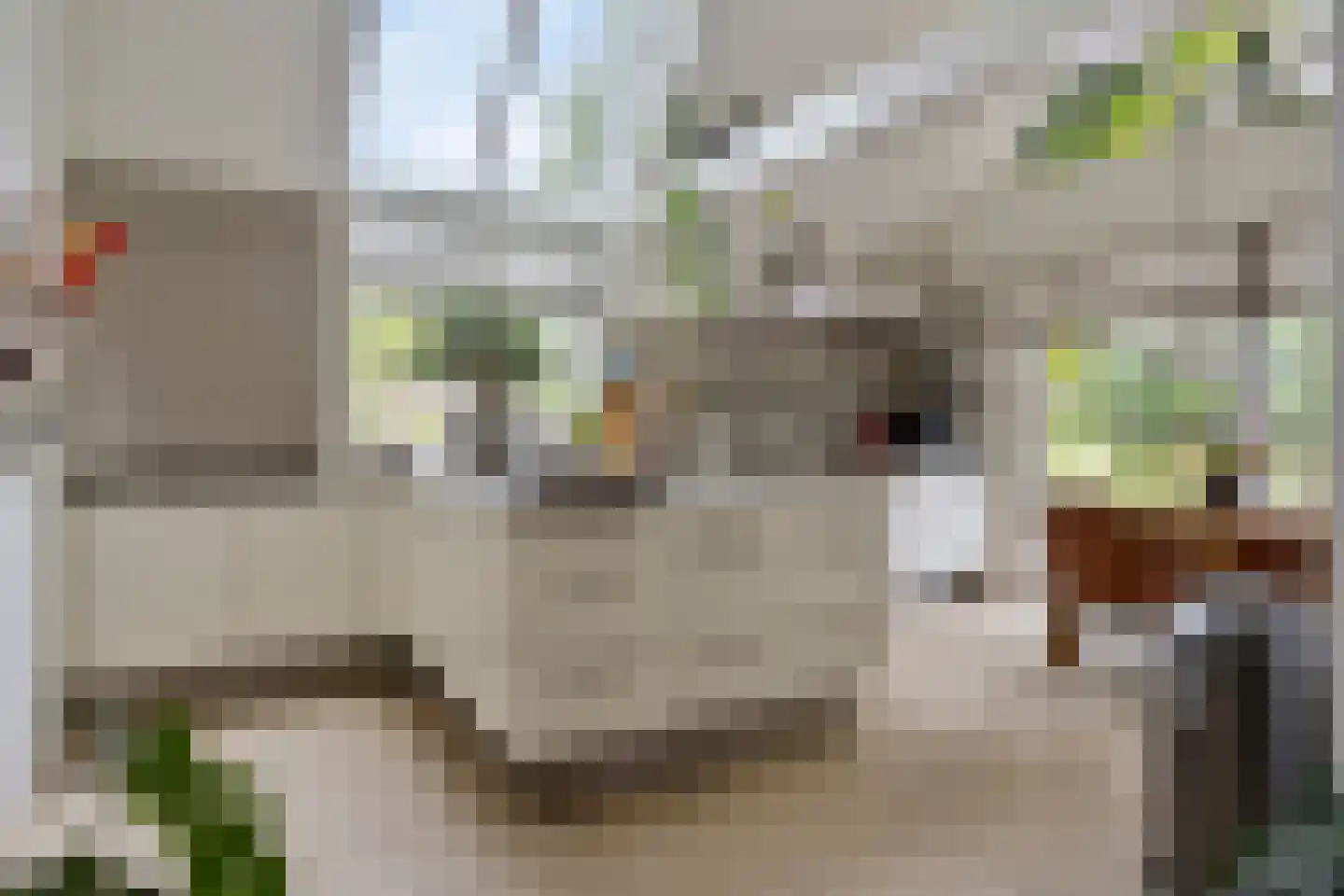 Hovenierstraat 6 Colijnsplaat thumbnail 13