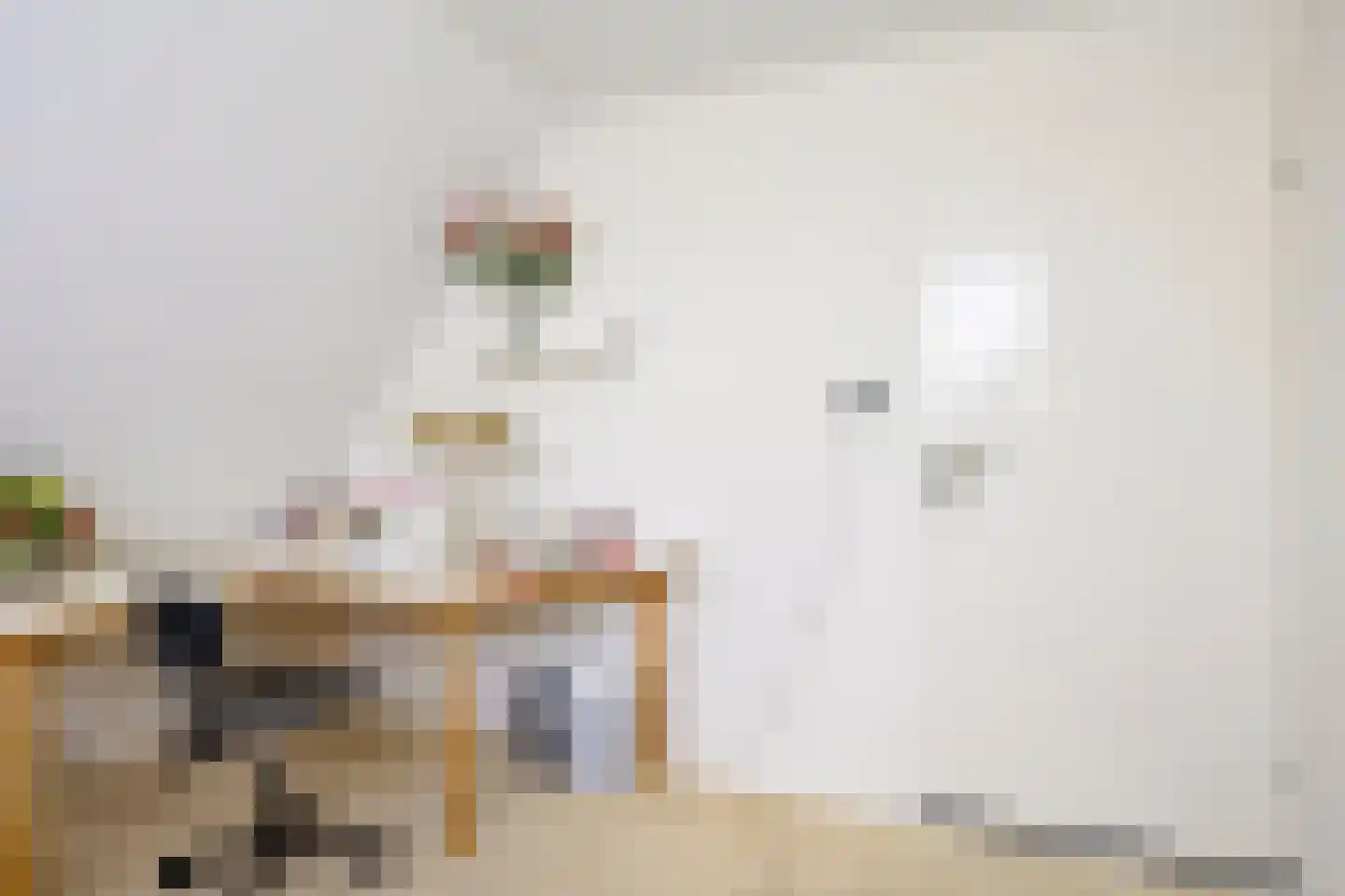 Hovenierstraat 6 Colijnsplaat thumbnail 30
