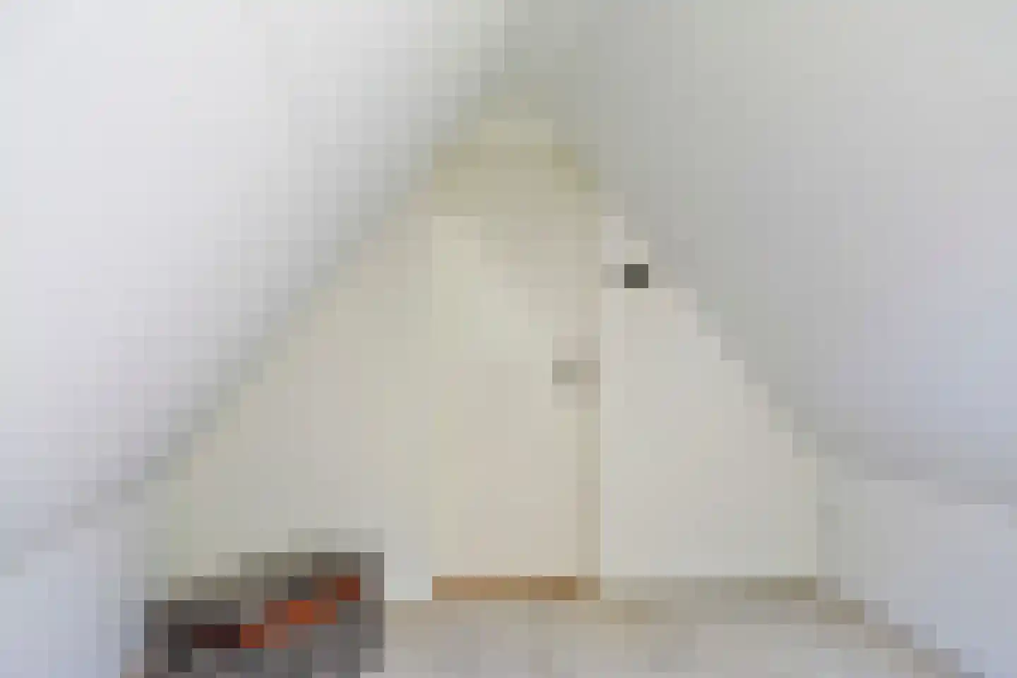 Hovenierstraat 6 Colijnsplaat thumbnail 34