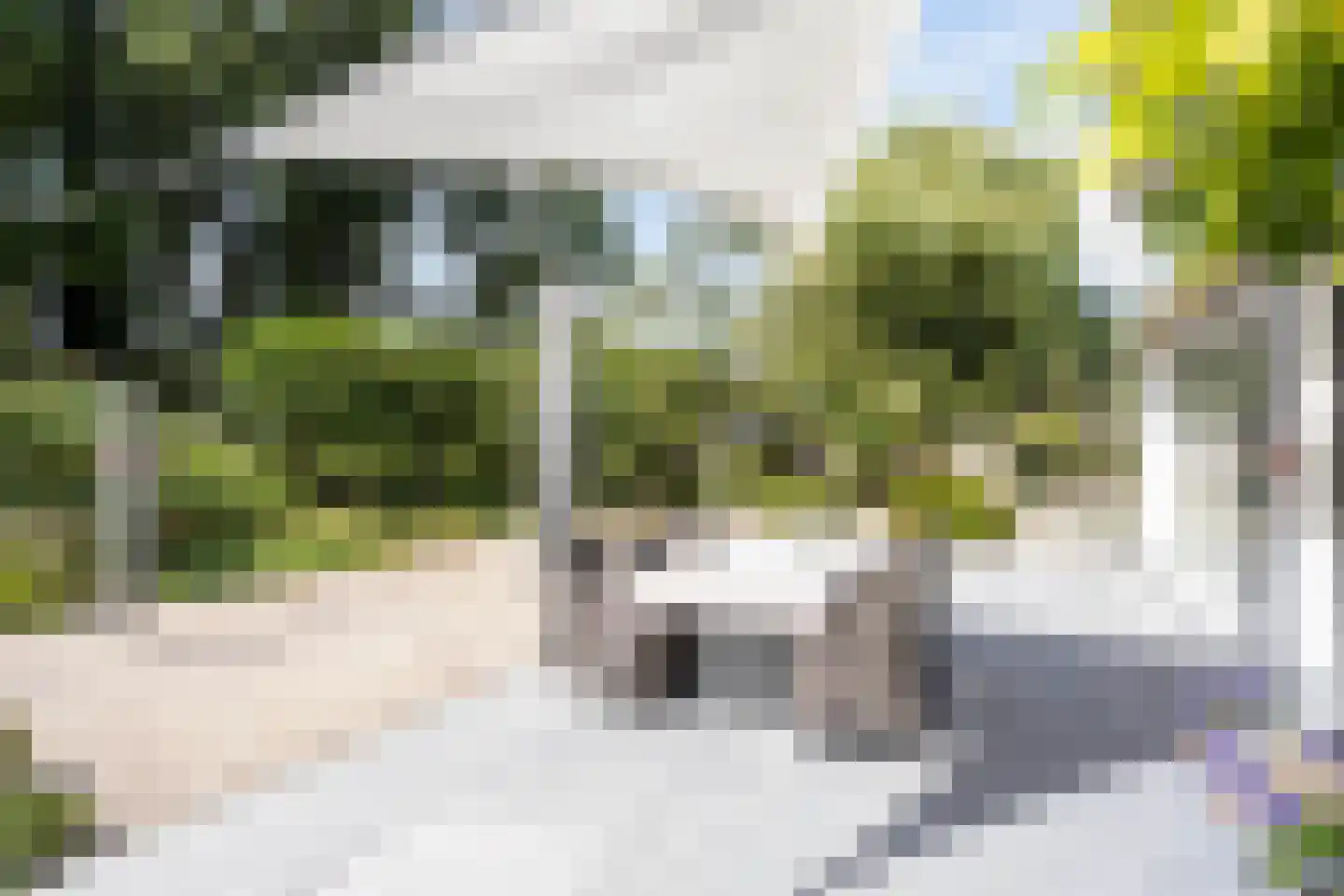 Hovenierstraat 6 Colijnsplaat thumbnail 35