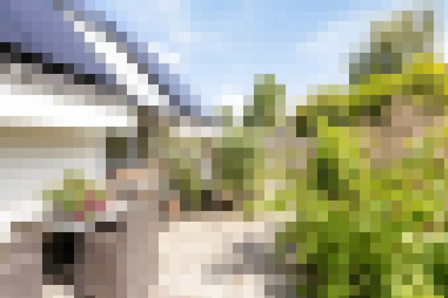 Hovenierstraat 6 Colijnsplaat thumbnail 36