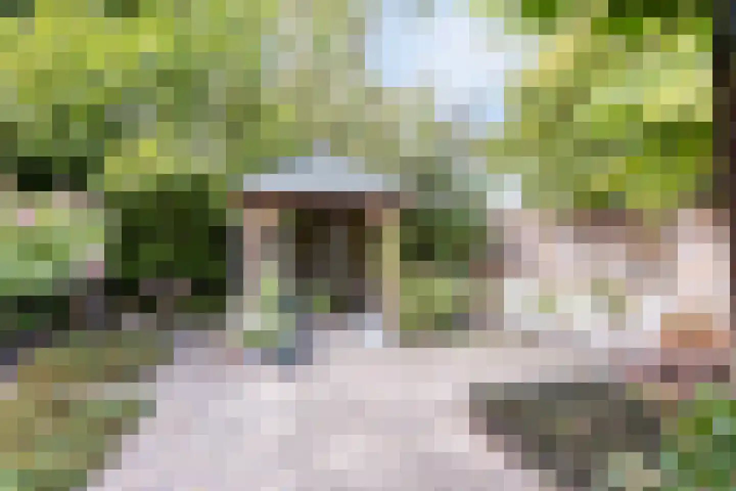 Hovenierstraat 6 Colijnsplaat thumbnail 38