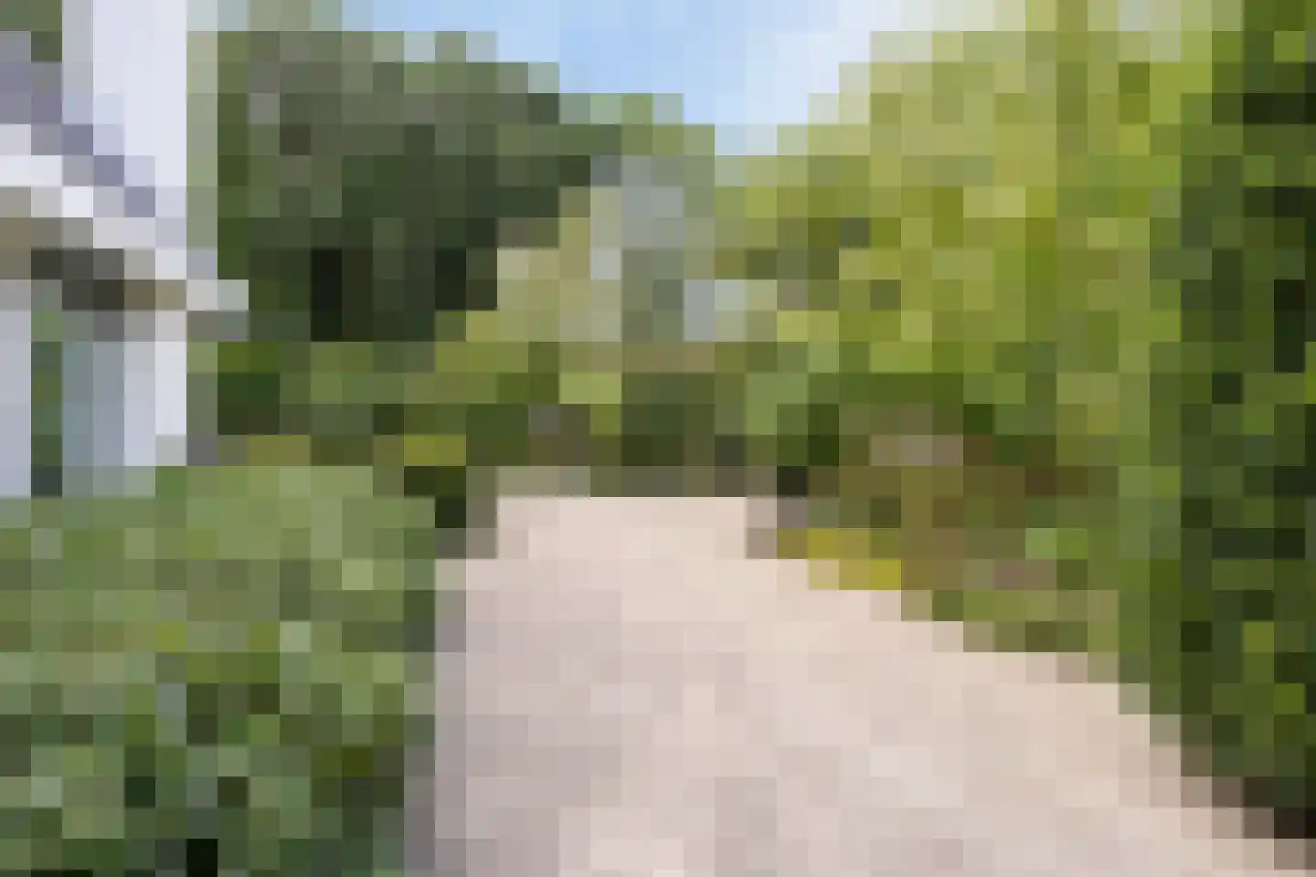 Hovenierstraat 6 Colijnsplaat thumbnail 40