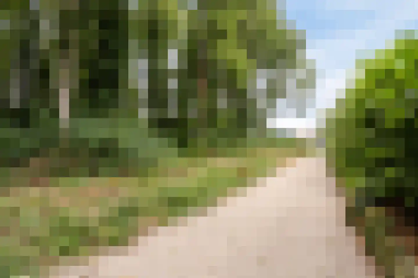 Hovenierstraat 6 Colijnsplaat thumbnail 44