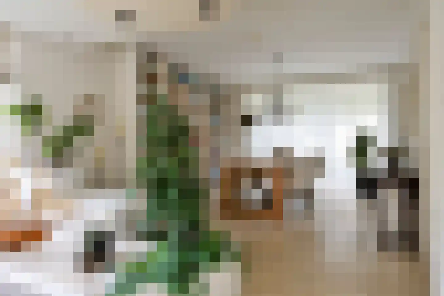 Hovenierstraat 6 Colijnsplaat thumbnail 7