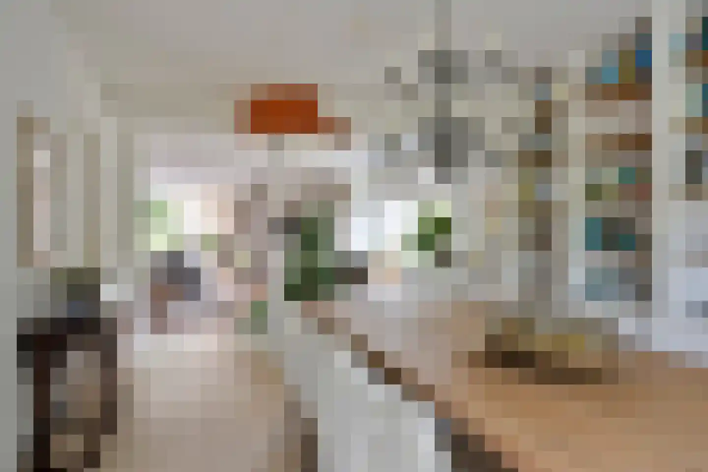 Hovenierstraat 6 Colijnsplaat thumbnail 8