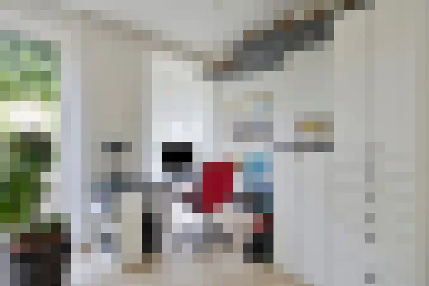 Hovenierstraat 6 Colijnsplaat thumbnail 9