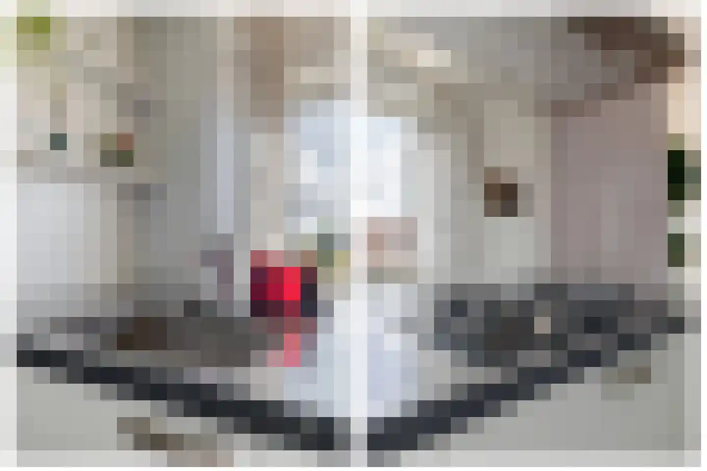 Hovenierstraat 67 Breda thumbnail 34