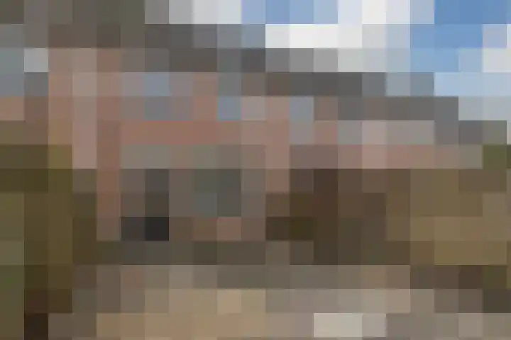 Hovenierstraat 68 Alkmaar thumbnail 12