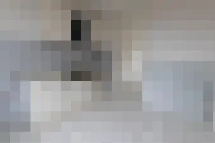 Hovenierstraat 68 Alkmaar thumbnail 5
