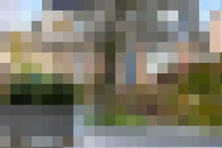Hovenierstraat 73 Alkmaar thumbnail 8