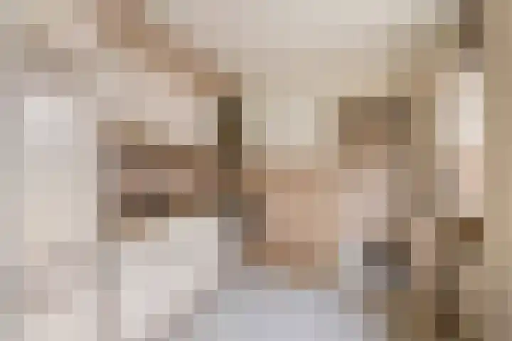 Hoveniersweg 102 Tiel thumbnail 11