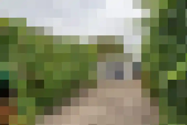 Hoveniersweg 102 Tiel thumbnail 24