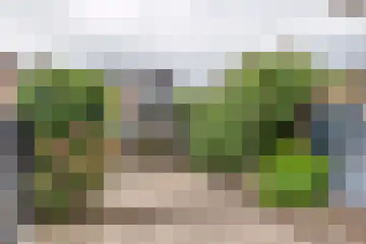 Hoveniersweg 102 Tiel thumbnail 28