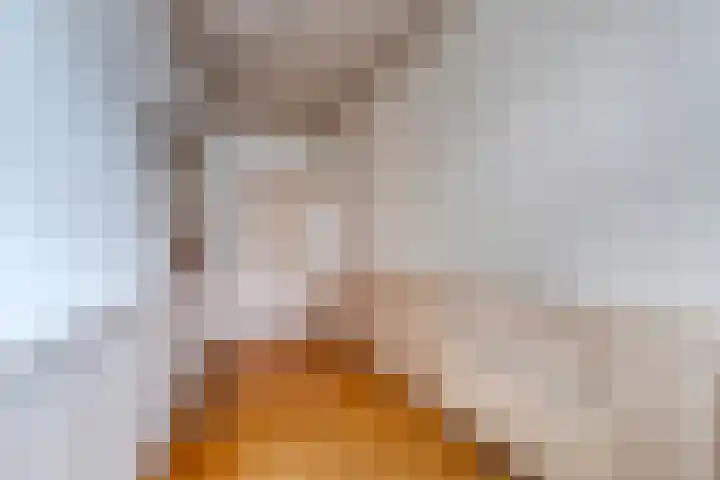 Hoveniersweg 102 Tiel thumbnail 4