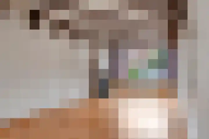 Hoveniersweg 102 Tiel thumbnail 7