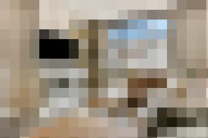 Hoveniersweg 103 Tiel thumbnail 11