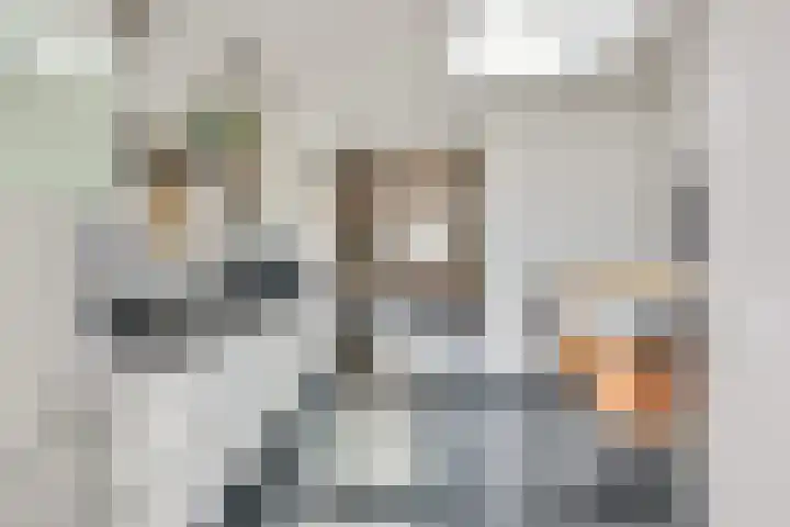 Hoveniersweg 103 Tiel thumbnail 14
