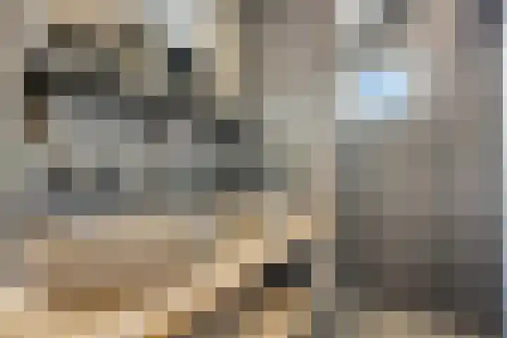 Hoveniersweg 103 Tiel thumbnail 17