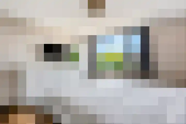 Hoveniersweg 103 Tiel thumbnail 21