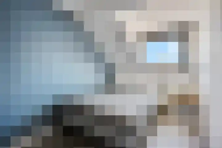 Hoveniersweg 103 Tiel thumbnail 22