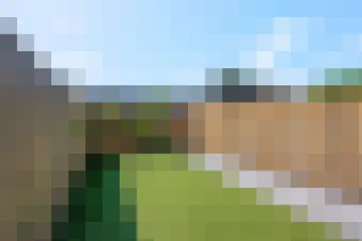 Hoveniersweg 103 Tiel thumbnail 26