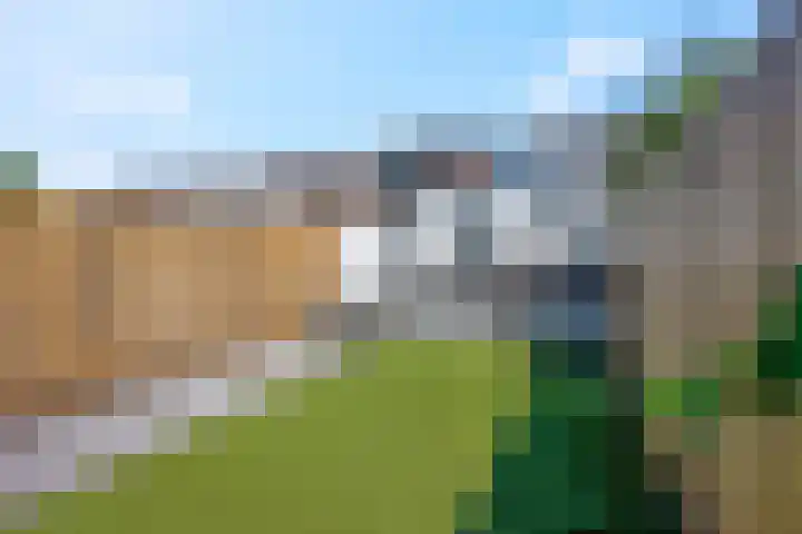 Hoveniersweg 103 Tiel thumbnail 4