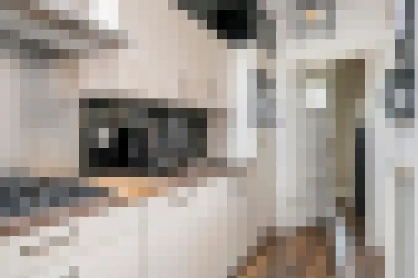 Hoveniersweg 114 Tiel thumbnail 20