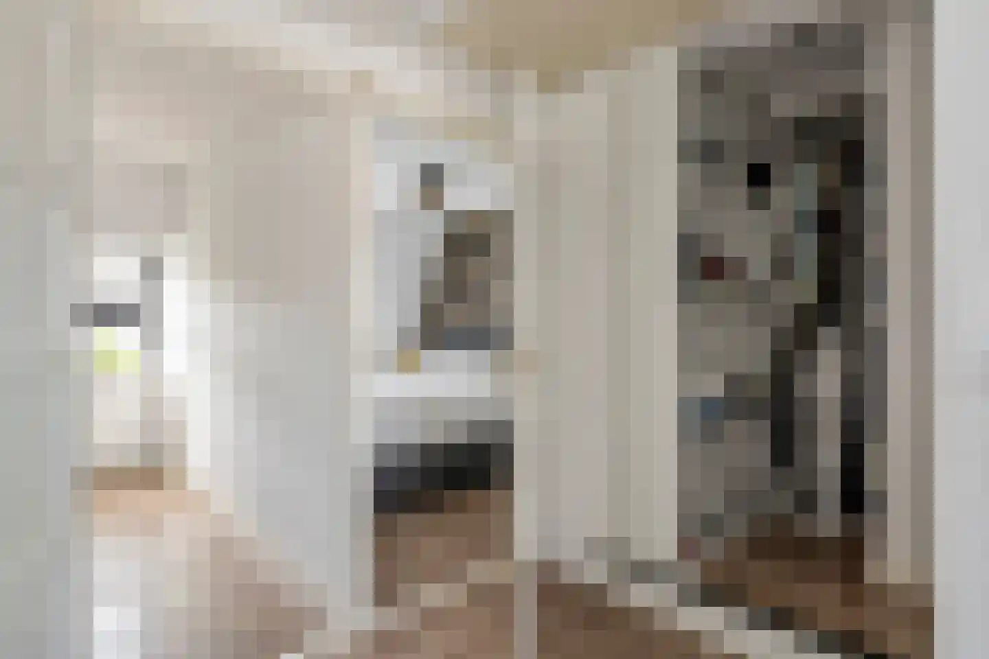 Hoveniersweg 114 Tiel thumbnail 23